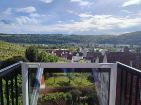 Weinberge - Fernblick - Stuttgart